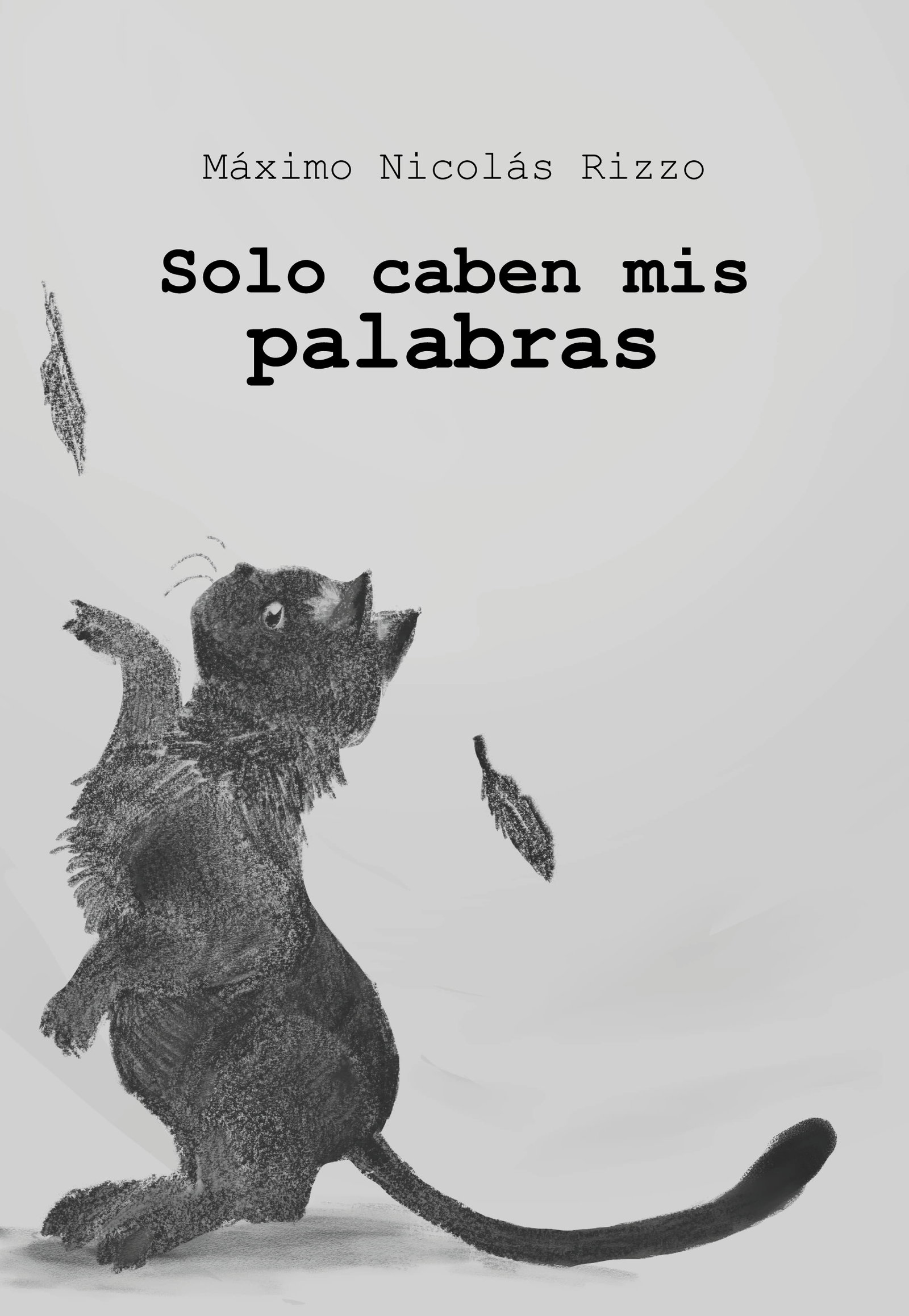 Solo caben mis palabras — Máximo Nicolás Rizzo